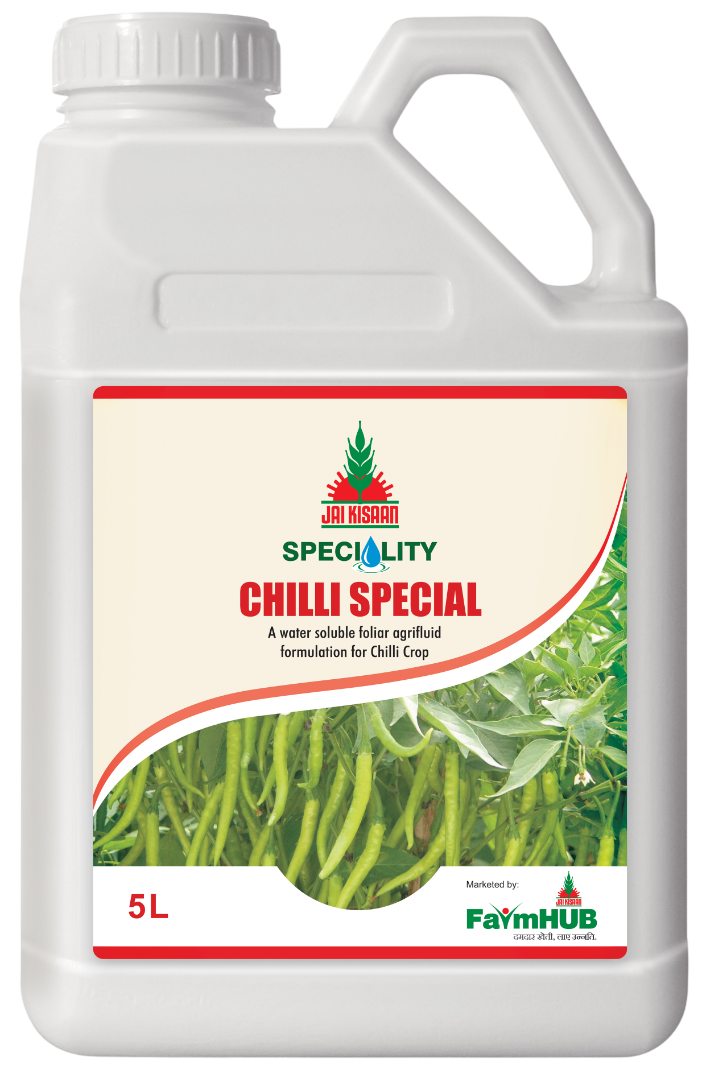 CHILLI SPECIAL